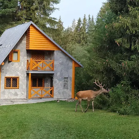 Tatry Chalet